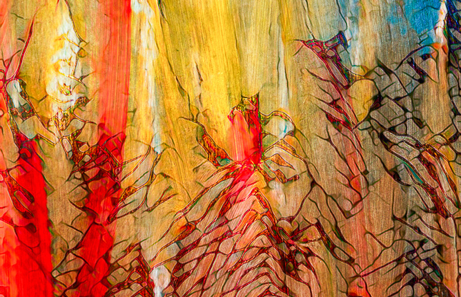 Abstract Art Expressionism